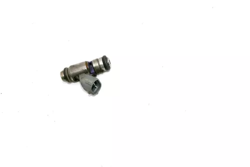 VW Bora Golf 4 Einspritzdüse Düse 036031T 036906031T 1,6 16V AZD BCB 77kw 105PS