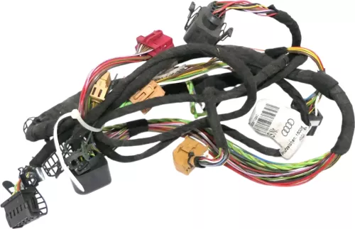 Audi A6 4B Kabelbaum Tür Türkabelbaum ZV vorne links 4B0971029F E