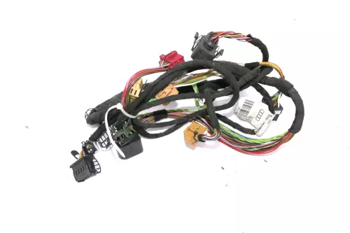 Audi A6 4B Kabelbaum Tür Türkabelbaum ZV vorne links 4B0971029F E (109815)