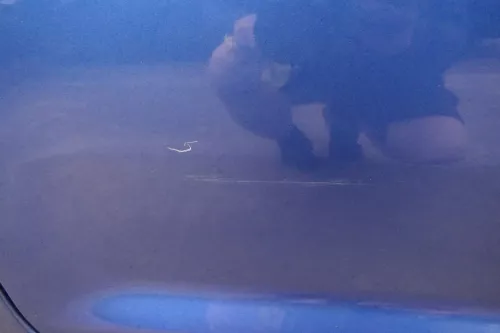VW Touran 1T 1T3 Tür hinten rechts blau LC5C mit Scheibe - ohne Anbauteile (111853)