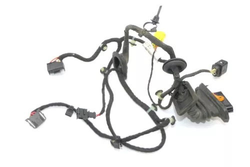 VW Passat 3C Kabelbaum Tür Türkabelbaum ZV vorne links Leitungssatz 3C1971120BP 