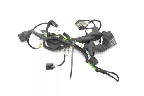 Audi A6 4F Kabelbaum Tür Türkabelbaum ZV hinten links 4F1971693G (119193)