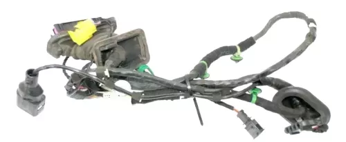 VW Golf Plus Kabelbaum Tür Türkabelbaum ZV vorne links 5M1971120P/K
