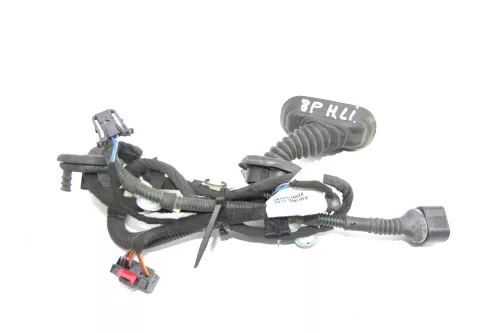 Audi A3 8P 4/5-Türer Kabelbaum Tür Türkabelbaum ZV hinten links 8P4971687R (122128)