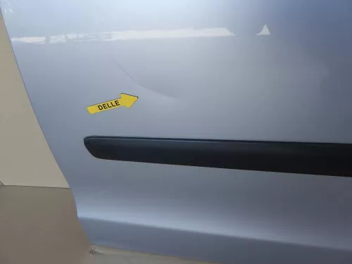VW Polo 9N 9N3 Tür vorne links Fahrertür silber LA7W 2/3-Türer-ohneAnbauteile (123720)