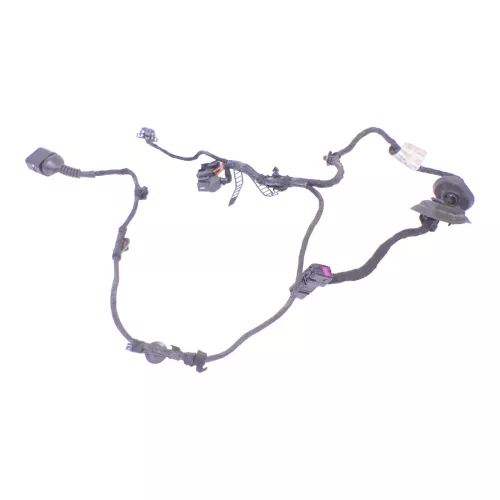 Audi 8E B6 Kabelbaum Tür Türkabelbaum ZV vorne links 8E1971029B 8E1971029C (126161)
