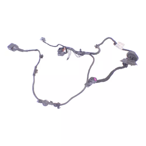 Audi 8E B6 Kabelbaum Tür Türkabelbaum ZV vorne links 8E1971029B 8E1971029C (126161)