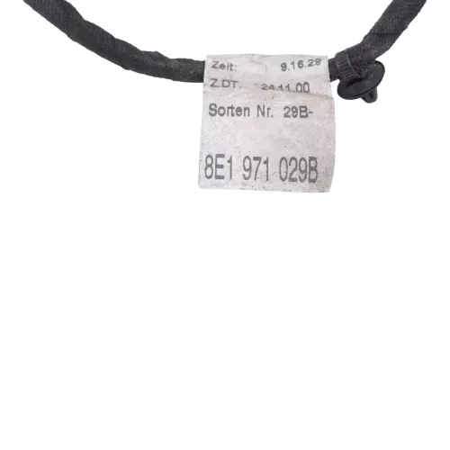 Audi 8E B6 Kabelbaum Tür Türkabelbaum ZV vorne links 8E1971029B 8E1971029C (126161)
