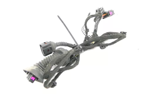 Audi 8E B6 Kabelbaum Tür Türkabelbaum ZV vorne links 8E1971029K 8E1971029N (126164)