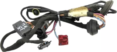 VW Passat 3BG 3B Variant Kabelbaum Tür Türkabelbaum ZV hinten links 3B0971161N