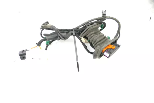 VW Golf 5 4/5-Türer Kabelbaum Tür Türkabelbaum ZV hinten rechts 1K4971694K (126269)