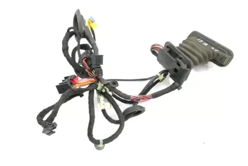 VW Passat 3C Kabelbaum Tür Türkabelbaum ZV vorne links Leitungssatz 3C1971120DA