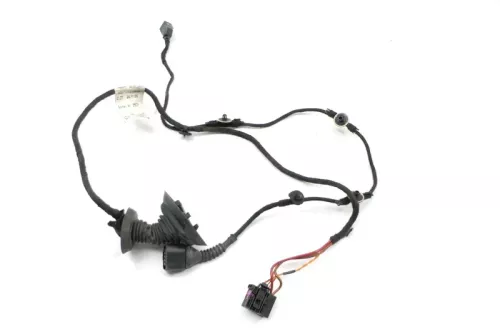 Audi 8E B6 Kabelbaum Tür Türkabelbaum ZV vorne rechts 8E1971029D 8E1971029G