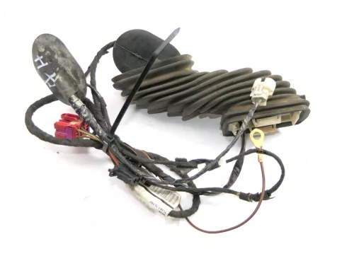 VW T5 Kabelbaum Tür Türkabelbaum ZV vorne links 7H0971161JP (128253)
