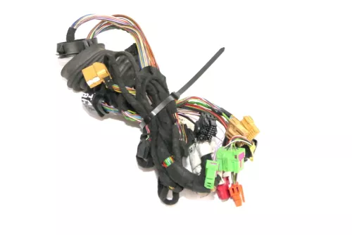 Audi A6 4B Kabelbaum Tür Türkabelbaum ZV vorne links 4B0971035AJ (129647)