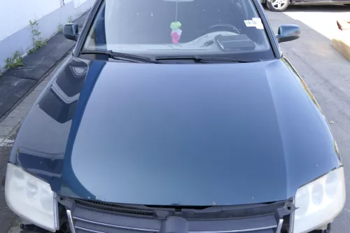 VW Passat 3BG Motorhaube Klappe vorne vorn Haube grün LB6W (129674)