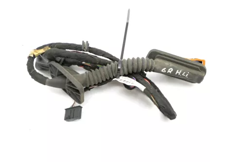 VW Polo 6R 6C Kabelbaum Tür Türkabelbaum ZV hinten links Leitungssatz 6C4971693C (140285)