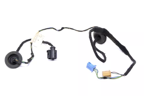 VW Polo 9N3 Kabelbaum Tür Türkabelbaum ZV hinten links Leitungssatz 6Q4970139B (146508)