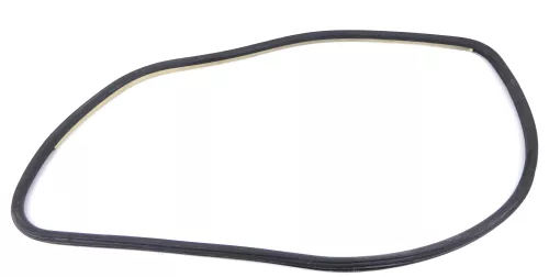 VW Passat 3B 3BG Türdichtung Dichtung Tür vorne links Fahrertür sonnenbeige beig (155894)