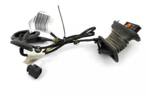 VW Passat 3C Kabelbaum Tür Türkabelbaum ZV hinten links 3C4971693HB /GQ (155980)
