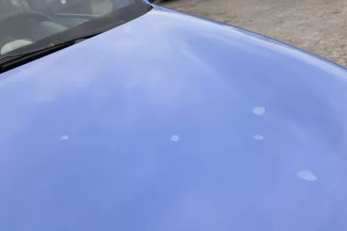 VW Lupo Motorhaube KLappe vorne grau blau LR5A softblau Frontklappe Haube (156881)
