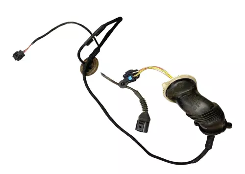 VW Passat 3BG 3B Variant Kabelbaum Tür Türkabelbaum ZV hinten links 3B0971161L K