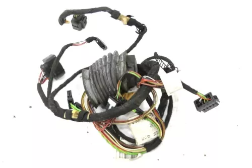 Audi A6 4B Kabelbaum Tür Türkabelbaum ZV vorne rechts 4B0971029H 4B0971029B (158576)