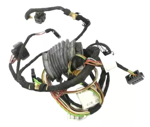 Audi A6 4B Kabelbaum Tür Türkabelbaum ZV vorne rechts 4B0971029H 4B0971029B
