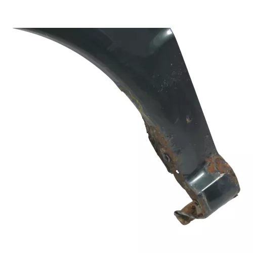 Skoda Fabia 6Y Kotflügel vorne links grün LF8C auch Kombi (158662)