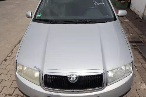 Skoda Fabia 6Y Motorhaube KLappe vorne silber grau LF7T OHNE Grill KEIN-GRILL (159093)