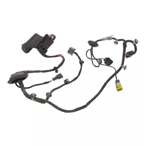 VW Passat 3C Kabelbaum Tür Türkabelbaum ZV vorne rechts Leitungssatz 3C1971121BN (160357)