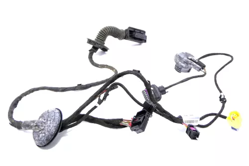 Audi 8K A4 Kabelbaum Tür Türkabelbaum ZV vorne rechts 8K0971030AG (164611)