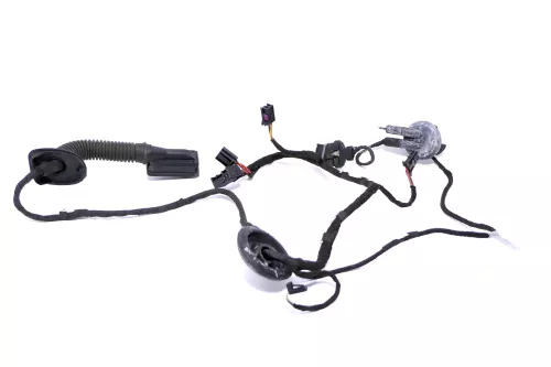 Audi A4 8K Kabelbaum Tür Türkabelbaum ZV hinten links 8K0971687AE (164612)