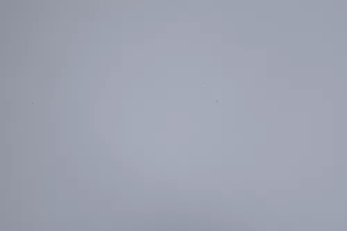 VW Golf 4 Motorhaube Haube Klappe vorne silber grau LA7W grau reflexsilber  (164845)