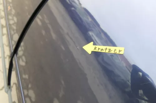 Audi A6 4B C5 Tür Türblatt hinten links blau LZ5T nur Türblatt (165071)