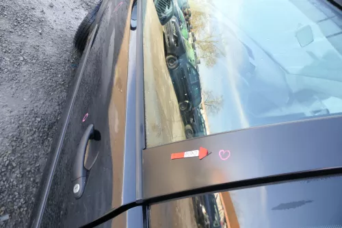 VW Polo 9N 9N3 Tür vorne links Fahrertür 2/3-Türer schwarz L041 ohneAnbautei (167757)
