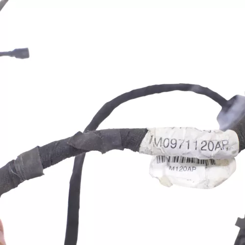 Seat Leon 1M Kabelbaum Tür Türkabelbaum ZV vorne links Leitungssatz 1M0971120AQ (168314)