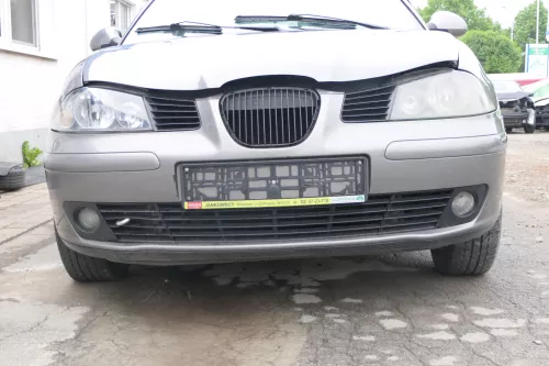 Seat Ibiza 6L Stoßstange Frontstoßstange vorne grau LS7U bis caAnfang2006 (169240)