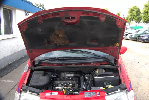 VW Golf 3 Ladeluftrohr Ladeluft Rohr Druckrohr 1H0129654Q 1,9 TDI AFN 81kw