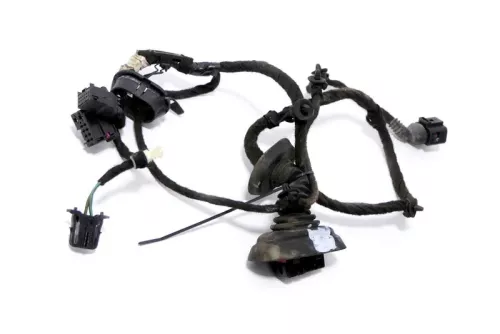 Audi A3 8P 2/3-Türer Kabelbaum Tür Türkabelbaum ZV vorne links 8P3971029AA