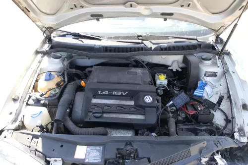 VW Golf 4 Bora Leon Motor 1,4 16V AXP / APE 55kw 75PS - 173.000km