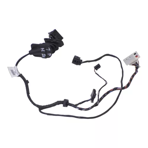 Seat Leon 1P Kabelbaum Tür Türkabelbaum hinten rechts li Leitungssatz 1P1971161D (171335)