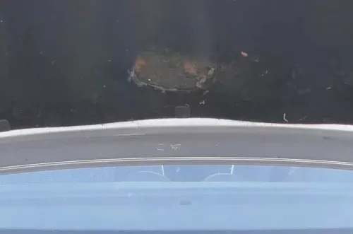 Ibiza 6L Dämpfung Motorhaube Dämmung Motorhaubendämmung TDI Dämmmatte (172417)
