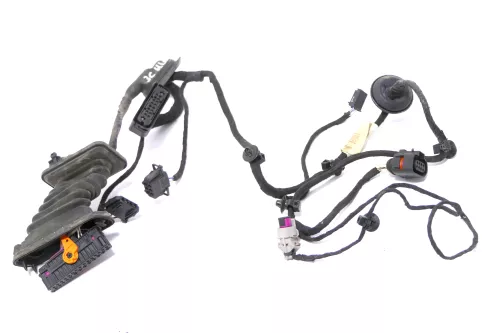 VW Passat 3C Kabelbaum Tür Türkabelbaum ZV hinten links 3C4971693GG /FS (174357)