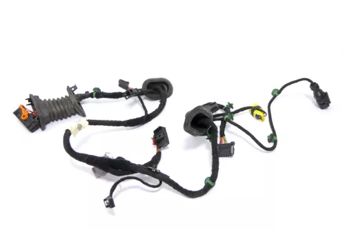 VW Golf 5 Kabelbaum Tür Türkabelbaum ZV vorne rechts 1K0971121CJ  (174369)