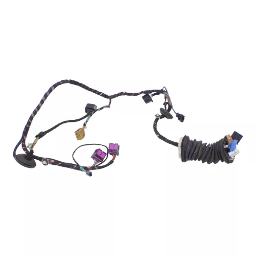 Skod Fabia 6Y Kabelbaum Tür Türkabelbaum ZV vorne links Leitungssatz 6Y0971120AA (175775)