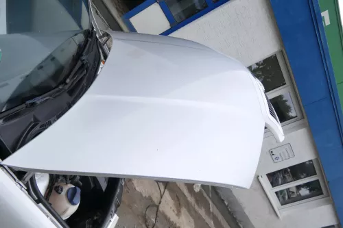 Skoda Fabia 6Y Motorhaube Klappe vorne silber LF7T vorn     (OHNEgrill!) (176021)