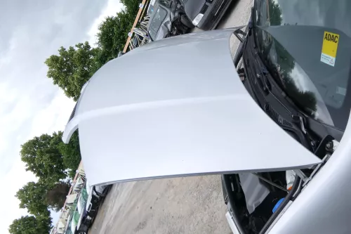 Skoda Fabia 6Y Motorhaube Klappe vorne silber LF7T vorn     (OHNEgrill!) (176021)