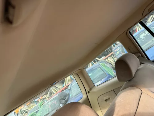 Golf 4 1J Kombi Variant Himmel Innenraum Decke Dachhimmel Dach oben hellbeige (179992)