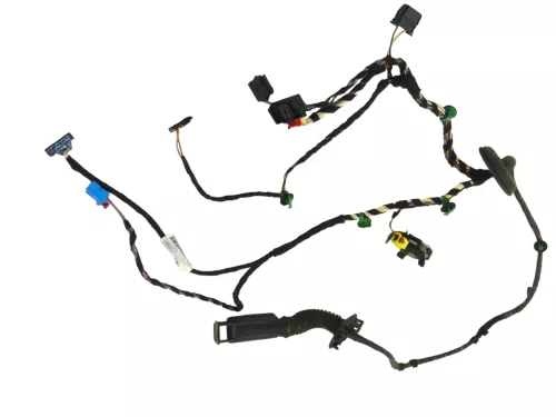 Passat 3C B8 3G Kabelbaum Tür Türkabelbaum vorne rechts Leitungssatz 3G1971121P (181661)
